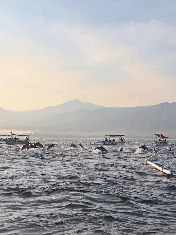 Morning dolphin watching tour in Lovina Bali with ocean view 